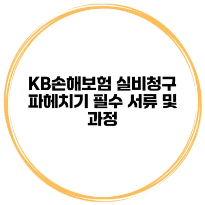 KB손해보험 실비청구 파헤치기 필수 서류 및 과정