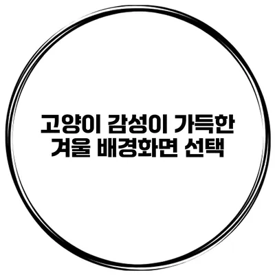 고양이 감성이 가득한 겨울 배경화면 선택