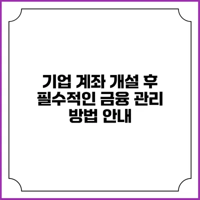 기업 계좌 개설 후 필수적인 금융 관리 방법 안내