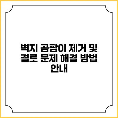 벽지 곰팡이 제거 및 결로 문제 해결 방법 안내