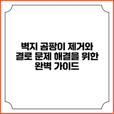 벽지 곰팡이 제거와 결로 문제 해결을 위한 완벽 가이드