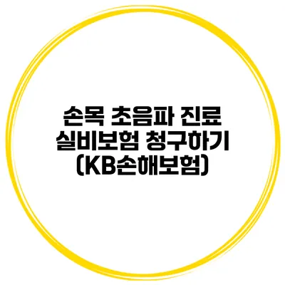손목 초음파 진료 실비보험 청구하기 (KB손해보험)
