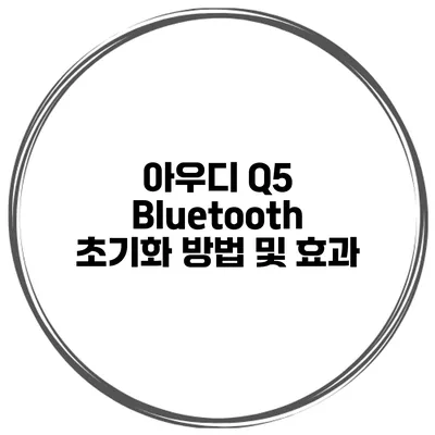 아우디 Q5 Bluetooth 초기화 방법 및 효과