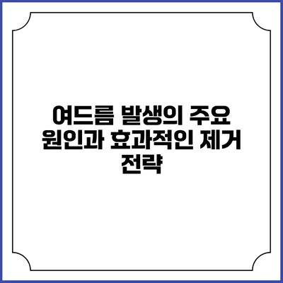 여드름 발생의 주요 원인과 효과적인 제거 전략