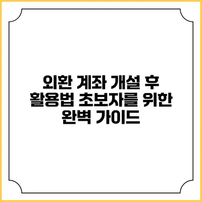 외환 계좌 개설 후 활용법: 초보자를 위한 완벽 가이드