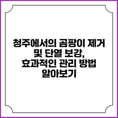청주에서의 곰팡이 제거 및 단열 보강, 효과적인 관리 방법 알아보기