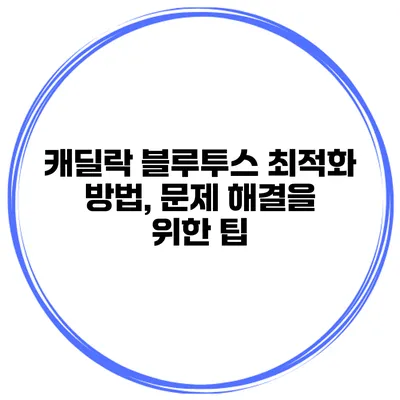 캐딜락 블루투스 최적화 방법, 문제 해결을 위한 팁