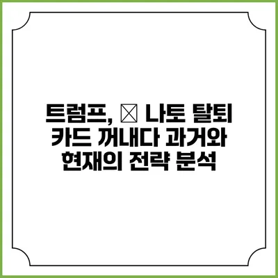 트럼프, 美 나토 탈퇴 카드 꺼내다: 과거와 현재의 전략 분석