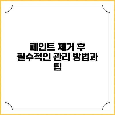페인트 제거 후 필수적인 관리 방법과 팁